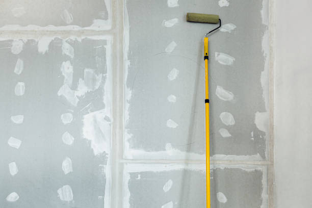 Forensic Mold Investigation in Big Beaver, PA
